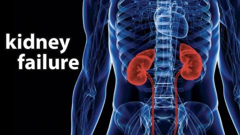 Keeping hope alive despite kidney failure