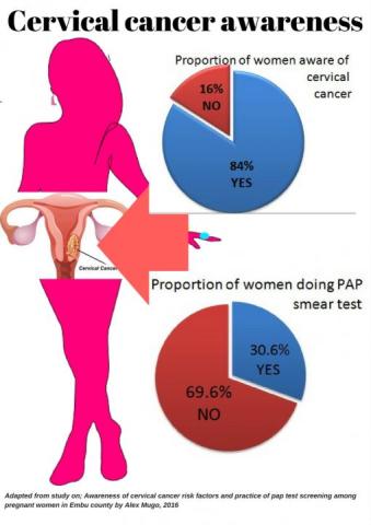 Lack of awareness blamed for high cervical cancer cases